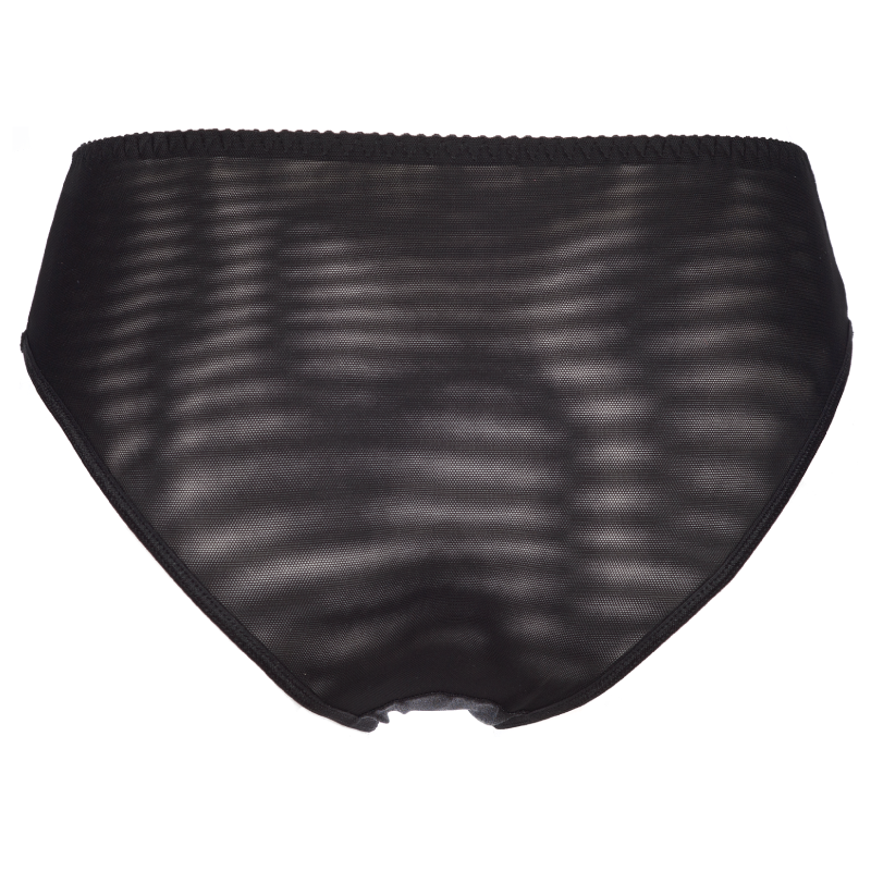 Axami Shimmer Sheer Bikini Panty